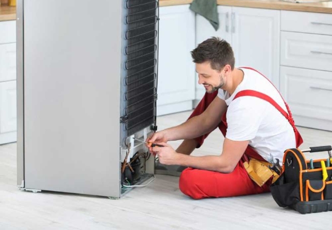 تعمیرکار یخچال حرفه&zwnj;ای